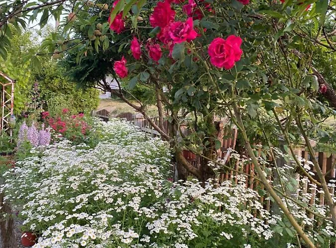 Privatunterkunft Mini Farm Adi Cazin